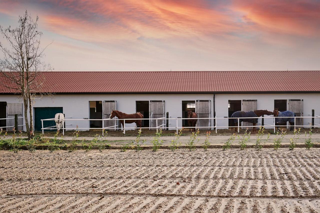 Brussa Horse Oasi Villa Caorle Bagian luar foto