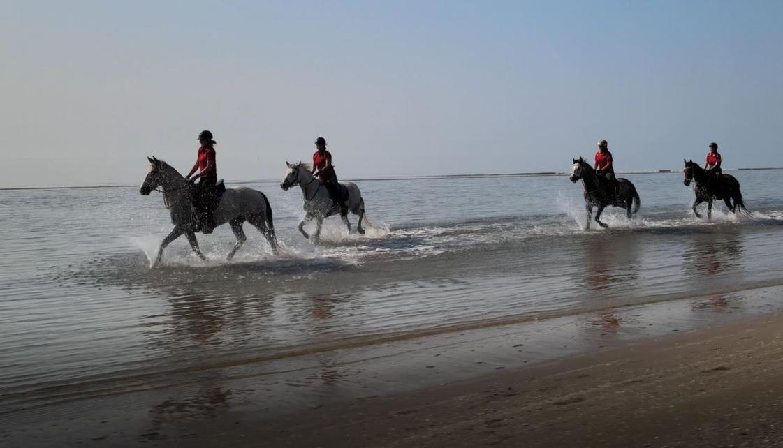 Brussa Horse Oasi Villa Caorle Bagian luar foto