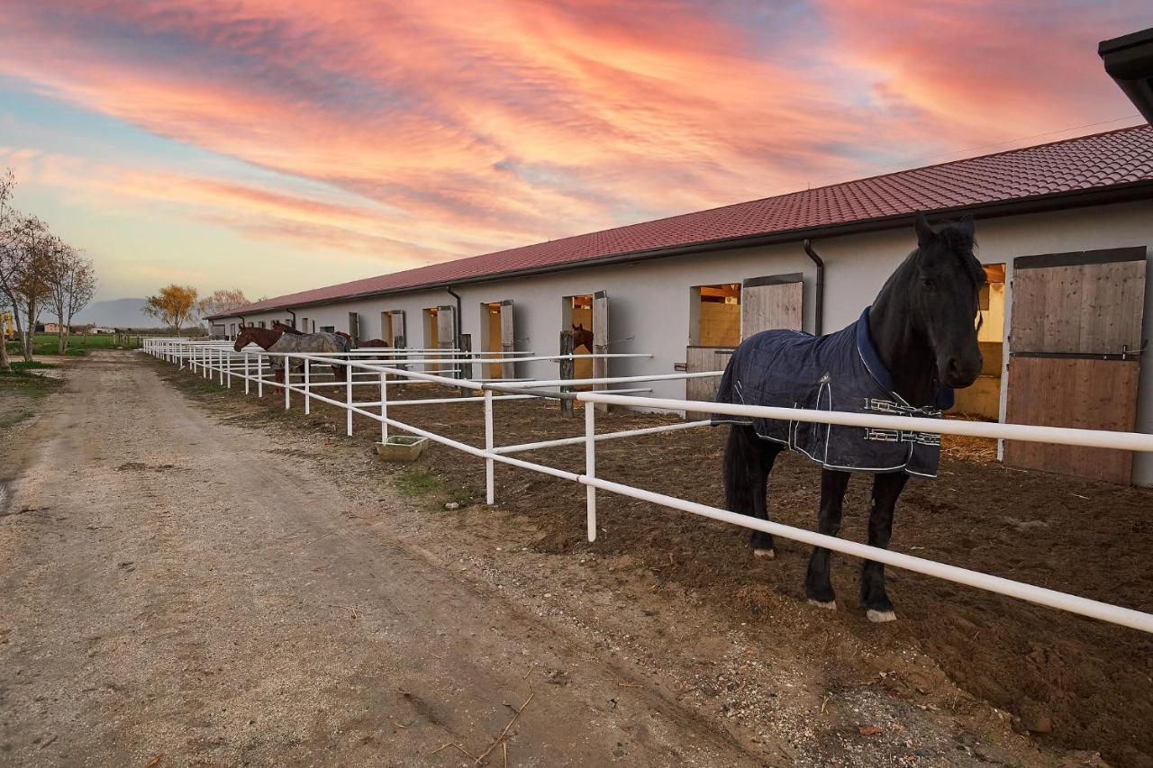 Brussa Horse Oasi Villa Caorle Bagian luar foto