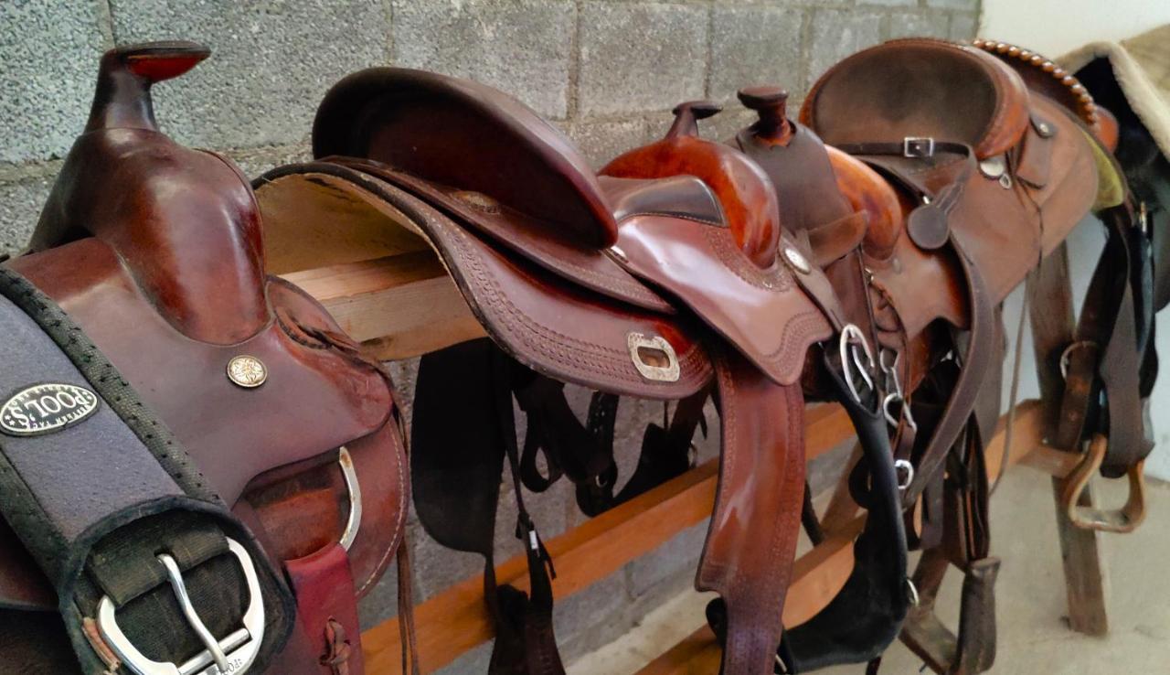 Brussa Horse Oasi Villa Caorle Bagian luar foto